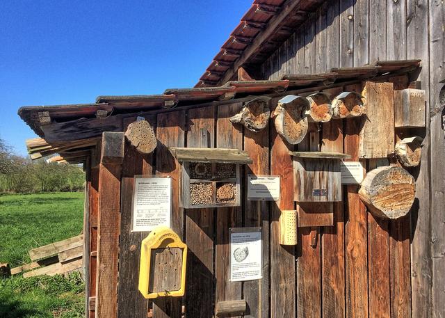 Bienenhotel an Haus Bürgel