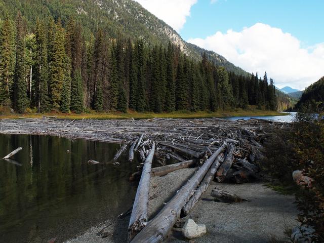 In den Wäldern der Rockies wird überall Holz verarbeitet. | Foto: Michael Köster