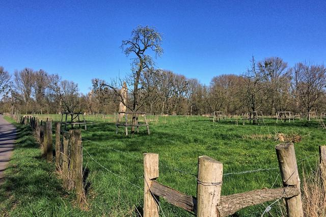 Einen (Weide)-Zaun gibt es auch!
