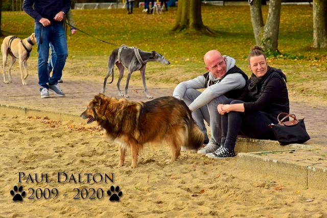 Paul Dalton 2009 - 2020, Ein Nachruf auf ein außergwöhnliches Wesen