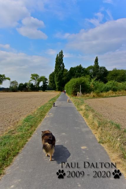 Paul Dalton 2009 - 2020, Ein Nachruf auf ein außergwöhnliches Wesen