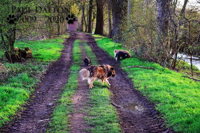 Paul Dalton 2009 - 2020, Ein Nachruf auf ein außergwöhnliches Wesen