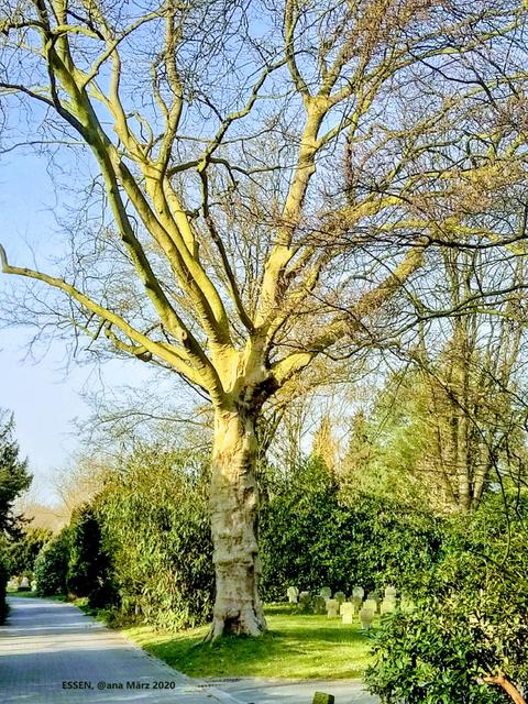 LICHT... der Frühling :-)