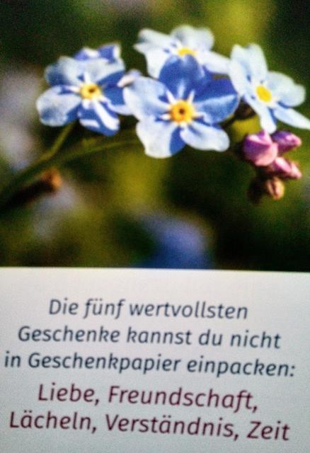 FÜNF wertvolle GESCHENKE... und noch eines kommt immer automatisch dringend hinzu, was wir uns und anderen aber leider Selbst NICHT wirklich schenken können, aber zumindest WÜNSCHEN! GESUNDHEIT!