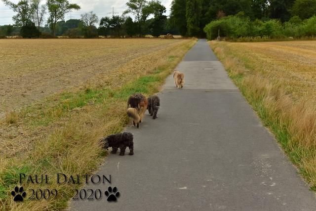 Paul Dalton 2009 - 2020, Ein Nachruf auf ein außergwöhnliches Wesen