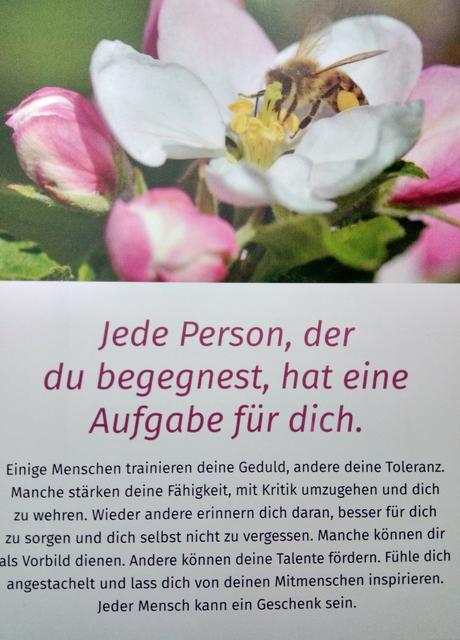 JEDER hat nun eine wichtige, wertvolle AUFGABE... JEDE (R)!
Mögen wir auch die Kraft, Geduld und Hoffnung haben und es (gemeinsam) schaffen!