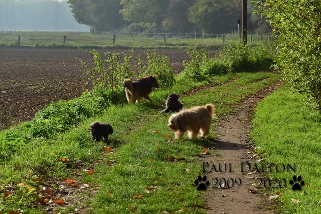 Paul Dalton 2009 - 2020, Ein Nachruf auf ein außergwöhnliches Wesen