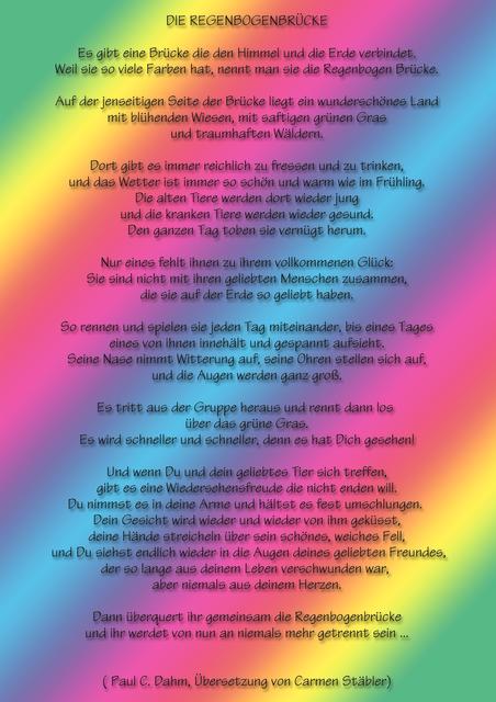 Paul Dalton 2009 - 2020, Ein Nachruf auf ein außergwöhnliches Wesen

Die Regenbogenbrücke

Ein Gedicht von Paul C. Dahms | Foto: Paul C.Dahm