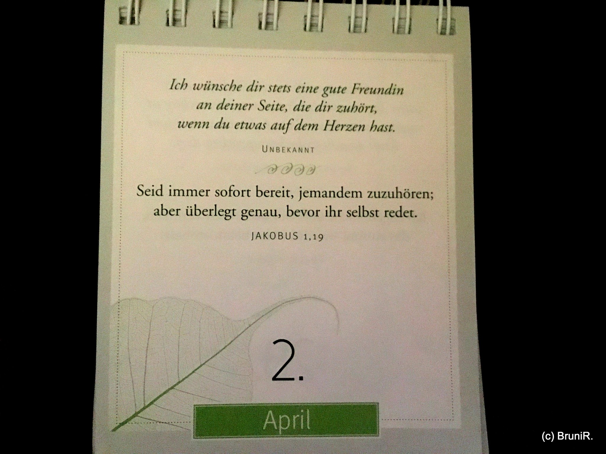 Get Redet nur ueber mich sprueche For iPhone Free