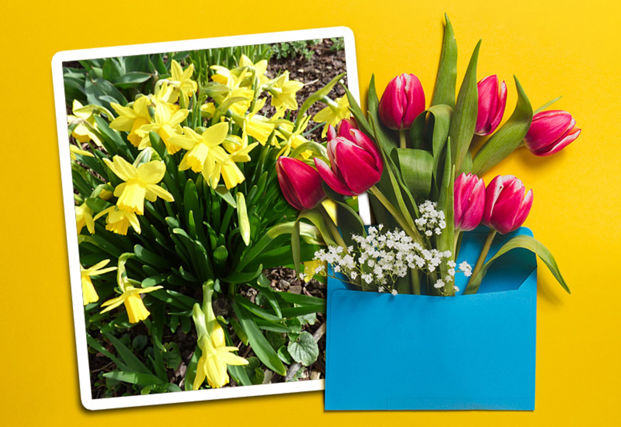 Die 90 Besten Bilder Zu Happy Birthday Kinder In 2020 Geburtstag Wunsche Geburtstagswunsche Geburtstagsbilder