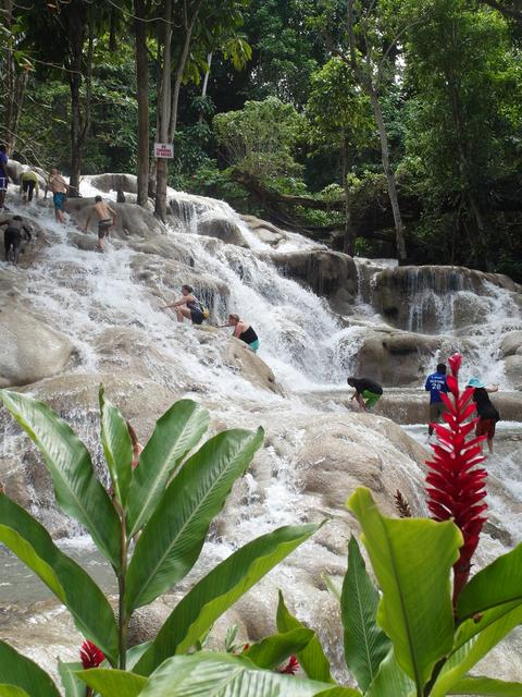 Ein grandioses Naturschauspiel sind die Dunn’s River Falls. | Foto: Michael Köster