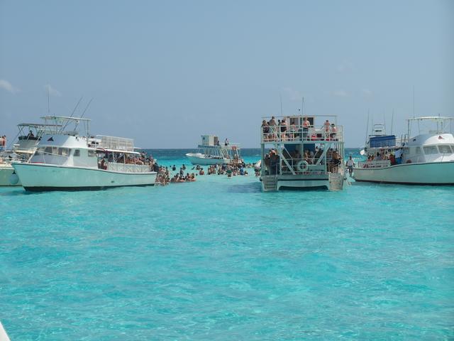 Schwimmen mit Stachelrochen auf Cayman Islands. | Foto: Michael Köster