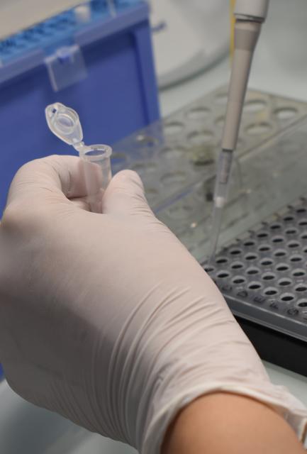 In Schutzkleidung an einer Sicherheitswerkbank werden die Corona Tests ausgewertet. Angst, sich anzustecken haben die Mitarbeiterinnen nicht, da sie ja auch sonst täglich mit Bakterien und Pilzen in Proben umgehen. | Foto: Klinikum DO