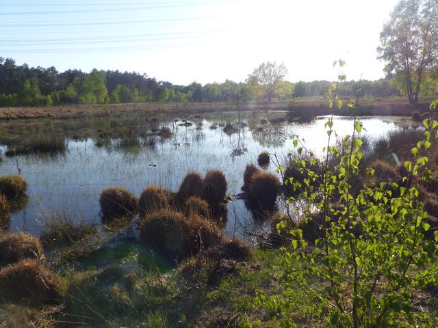 Abseits von Corona (6) Aaper Vennekes Wesel