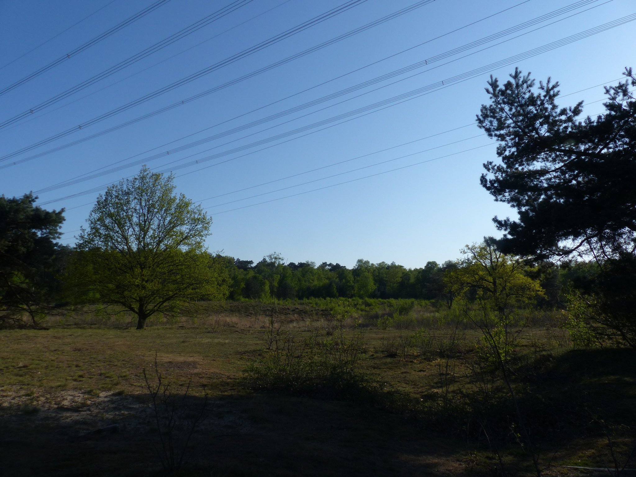 Abseits von Corona (6) Aaper Vennekes Wesel