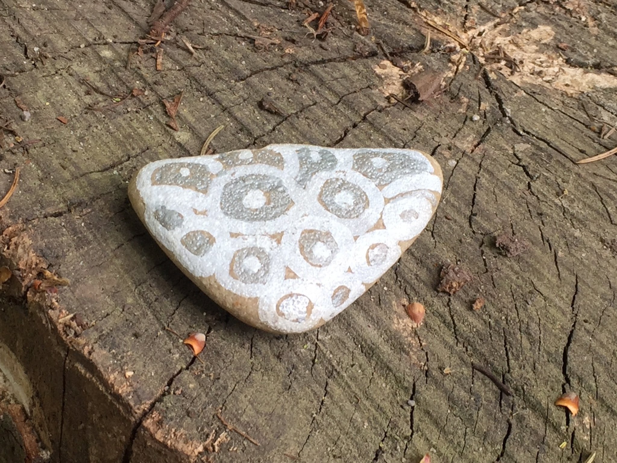 "Itterstone" im Stadtgebiet gefunden: Kleiner Stein auf Reisen - Hilden