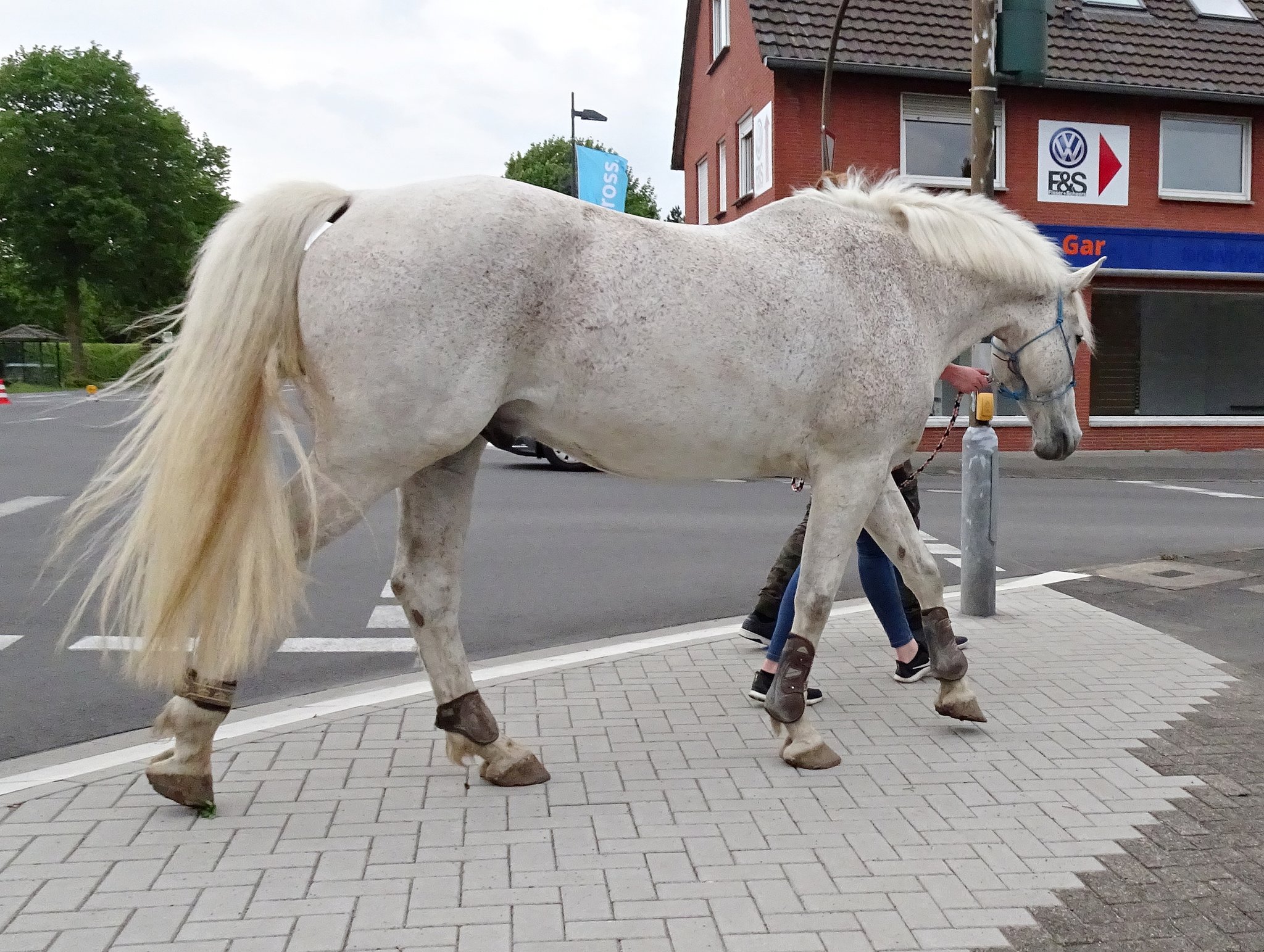 Was Ist Heute In Bedburg Los