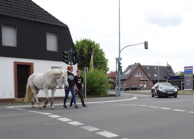 Was Ist Heute In Bedburg Los