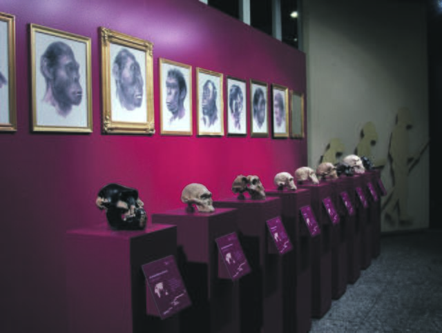 So sah es vor der Modernisierung im Naturkundemuseum aus. Die Eröffnung mit dem völlig neuen Ausstellungskonzept ist auf September verschoben. Und auch das Kindermuseum Adlerturm ist noch geschlossen.