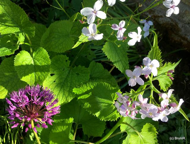 Licht und Schattenspiel!