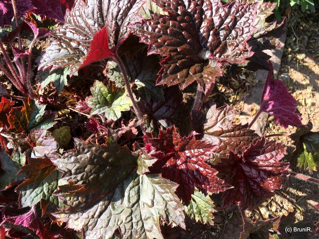 Auch das fand ich Spitze!