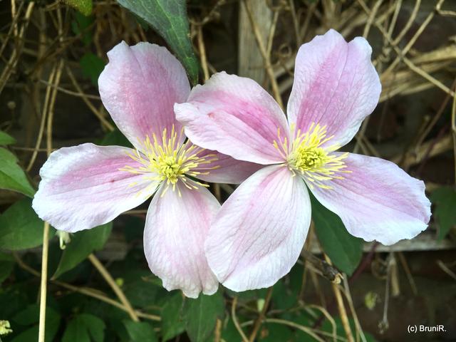 Zweisam - ohne Sicherheitsabstand!