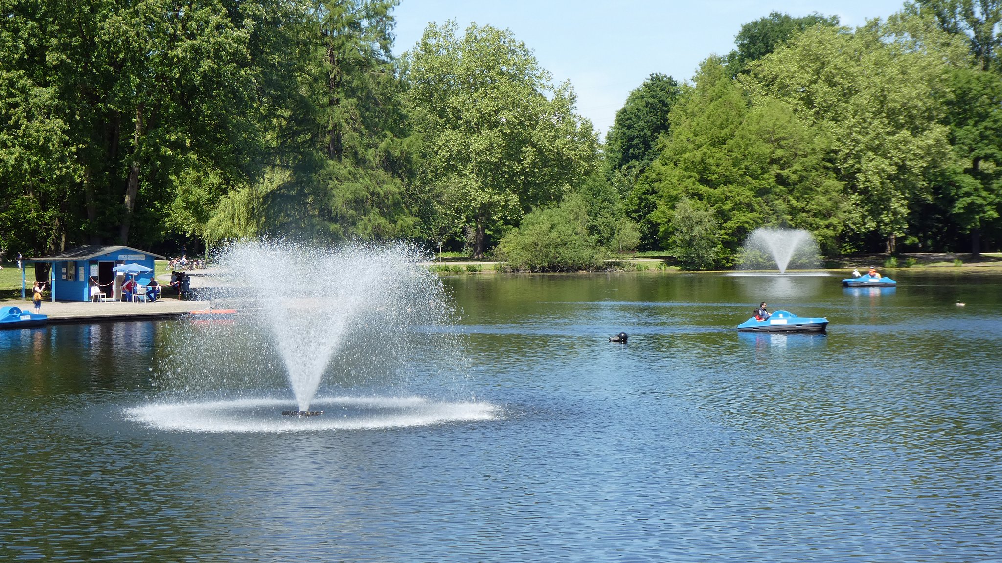 Auf dem großen Teich im FredenbaumPark am Rande Lindenhorsts