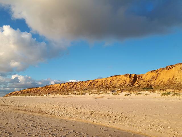 Trotz der sich abzeichnenden Reisemöglichkeit ins Ausland dürfte die deutsche Küste in diesem Sommer sehr gut gebucht sein. So menschenleer wie hier wird man das Rote Kliff auf Sylt dann nur selten erleben. Foto: Jörg Vorholt