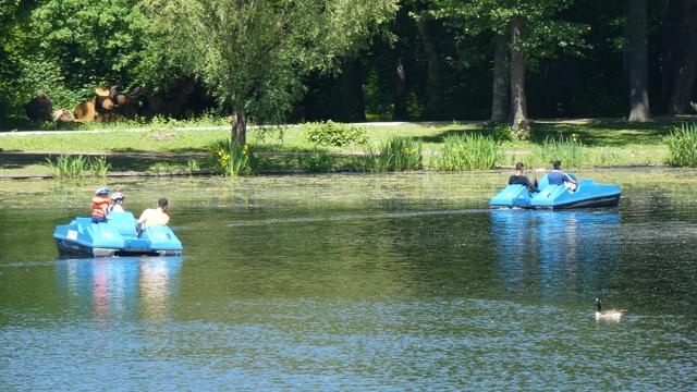 Auf dem großen Teich im FredenbaumPark am Rande Lindenhorsts