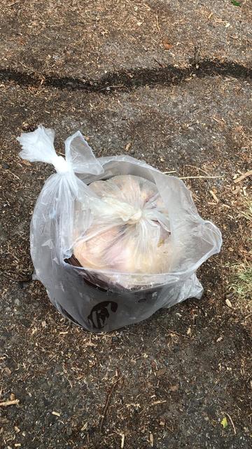 Eine Bergkamener Anwohnerin fand eine zugeknotete Tüte, die in einem Eimer steckte.