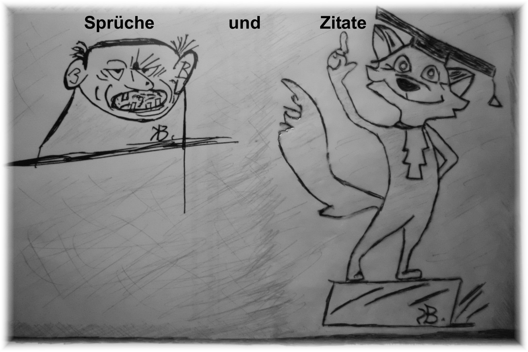Zitate Sprüche Ehrenamt