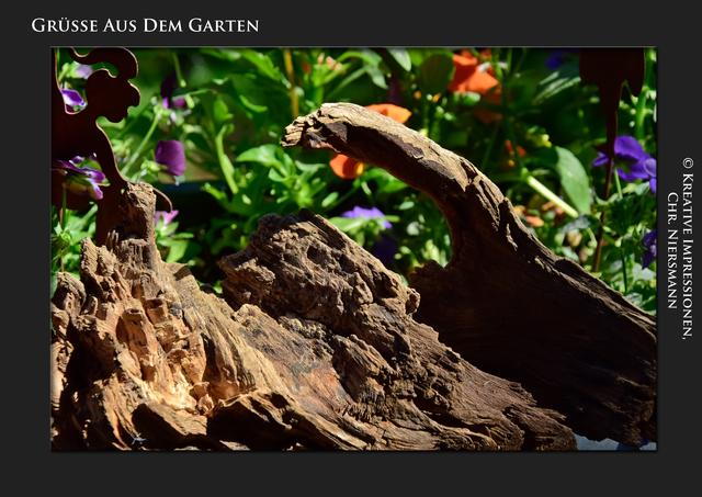 Grüsse aus dem Garten ...

Kleine Welten, große Momente ...  | Foto: © Kreative Impressionen, Chr. Niersmann