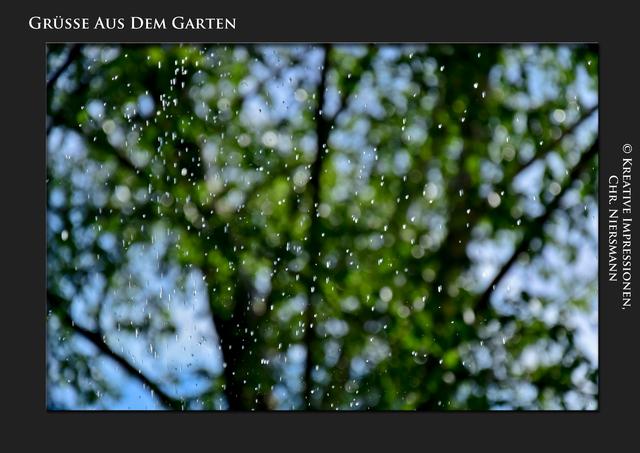 Grüsse aus dem Garten ...

Sparklin´Drops ... | Foto: © Kreative Impressionen, Chr. Niersmann