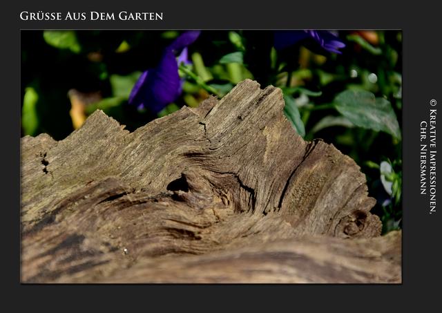 Grüsse aus dem Garten ...

Just A Piece Of Wood ... | Foto: © Kreative Impressionen, Chr.Niersmann