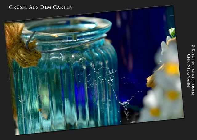 Grüsse aus dem Garten ...

Feines Gespinst ... | Foto: © Kreative Impressionen, Chr. Niersmann