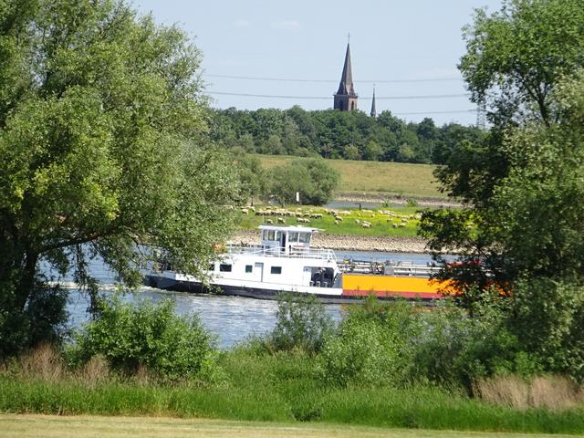 Schiff auf dem Rhein