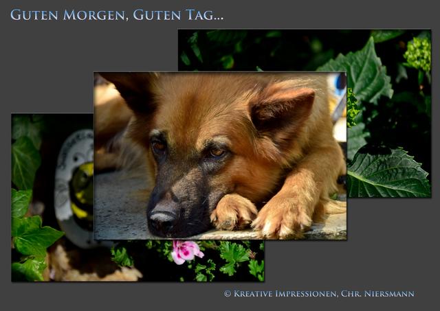 Guten Morgen, Guten Tag ...
Einfach mal ein klein wenig anders arrangiert ... 1