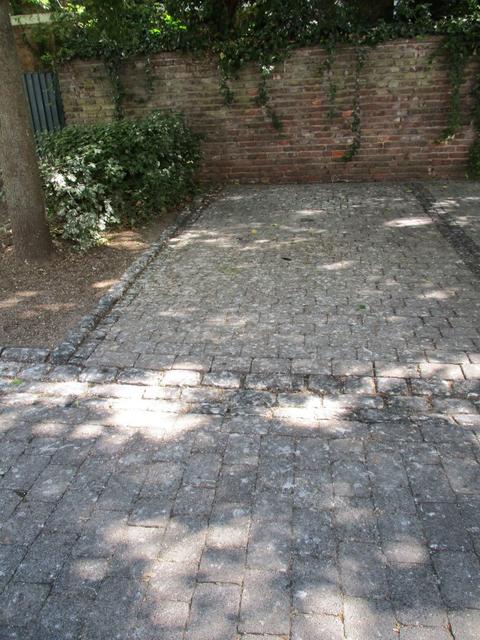 Krähenkot unter "Nistbaum"