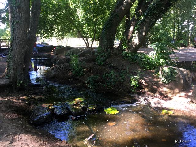 Ein Paradies für Kinder...
die sich hier im Wasser die
kleinen Füsslein kühlen! ♥
*