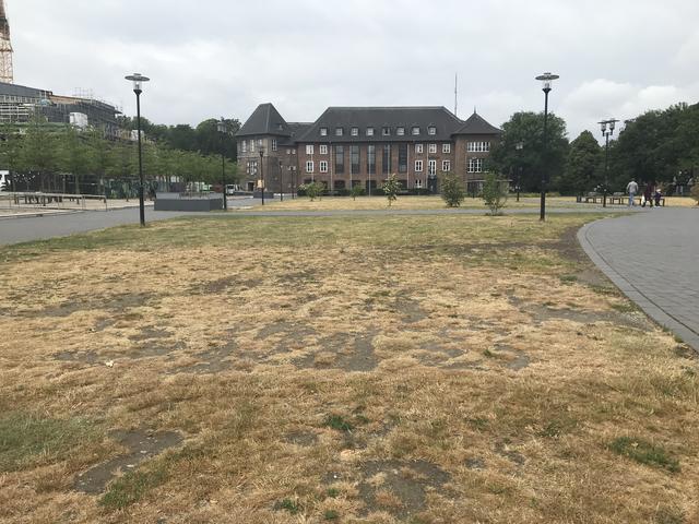 Auch der Stadtpark in Dinslaken leidet unter der Trockenheit, wie jeder sehen kann.