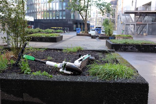 Nicht nur in Blumenbeeten findet man die Fahrzeuge, die liegen auch auf Gehwegen, Einfahrten und eigenartigerweise sogar in Fußgängerzonen.