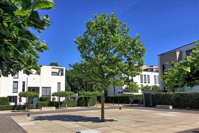 Am "Dorfplatz"