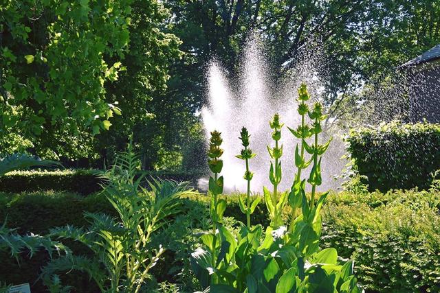 *Der Botanische Garten der WWU Münster* Hagen