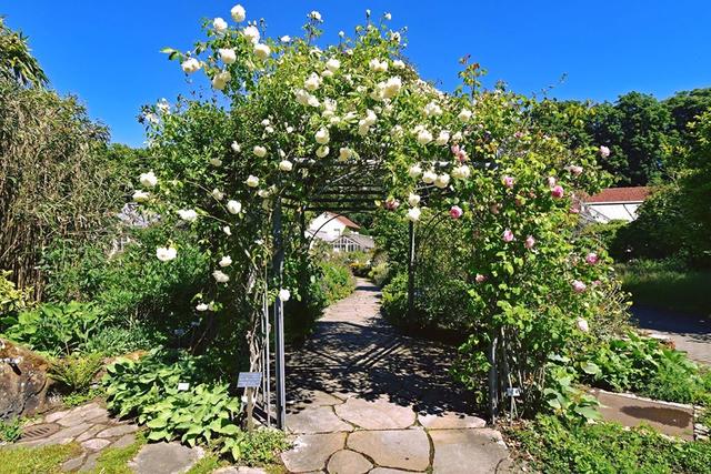 *Der Botanische Garten der WWU Münster* Hagen