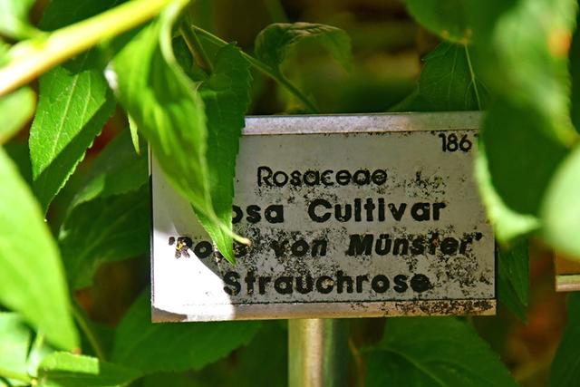 *Der Botanische Garten der WWU Münster* Hagen