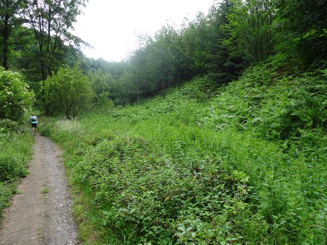 Südlich der Ruhr überwiegen die Trails