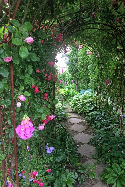 Romantik pur: Der Rosenbogen. Er liegt an der Seite zum Nachbargarten.