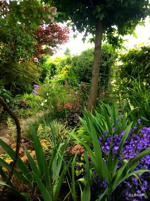 Ein echter Traumgarten!!!