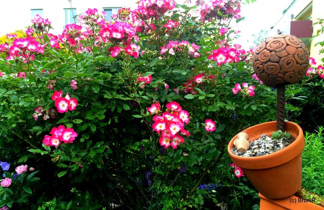 Ein Teil der Blumentopfsäule...