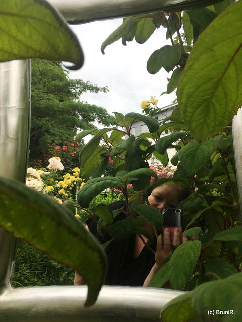 Bruni-Suchbild!  ;-)))
*